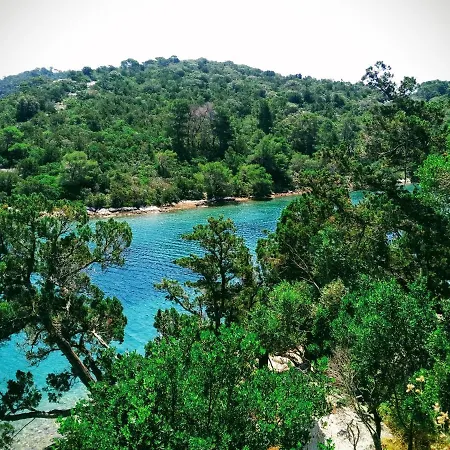 Daniela & Karlo Sobra